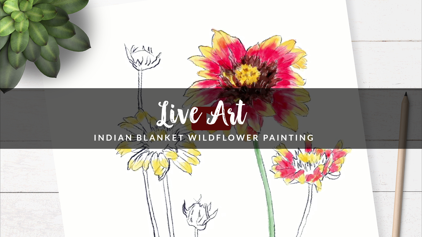 Texas Wildflower Watercolor Painting - Indian Blanket Flower