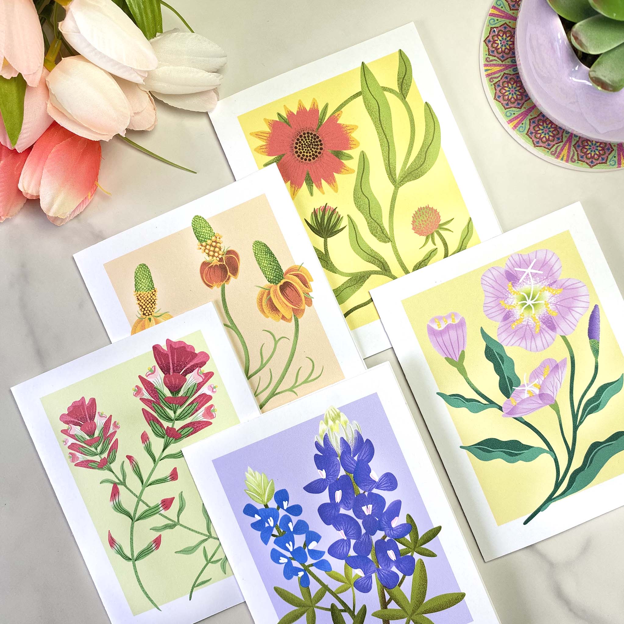 Texas Wildflower illustrated greeting cards. Set of 10 cards, 2 each of Bluebonnets, Indian Paintbrush, Indian Blanket, Evening Primrose, and Mexican Hat. A2 Size (4.25 x 5.5 inch) with envelopes.