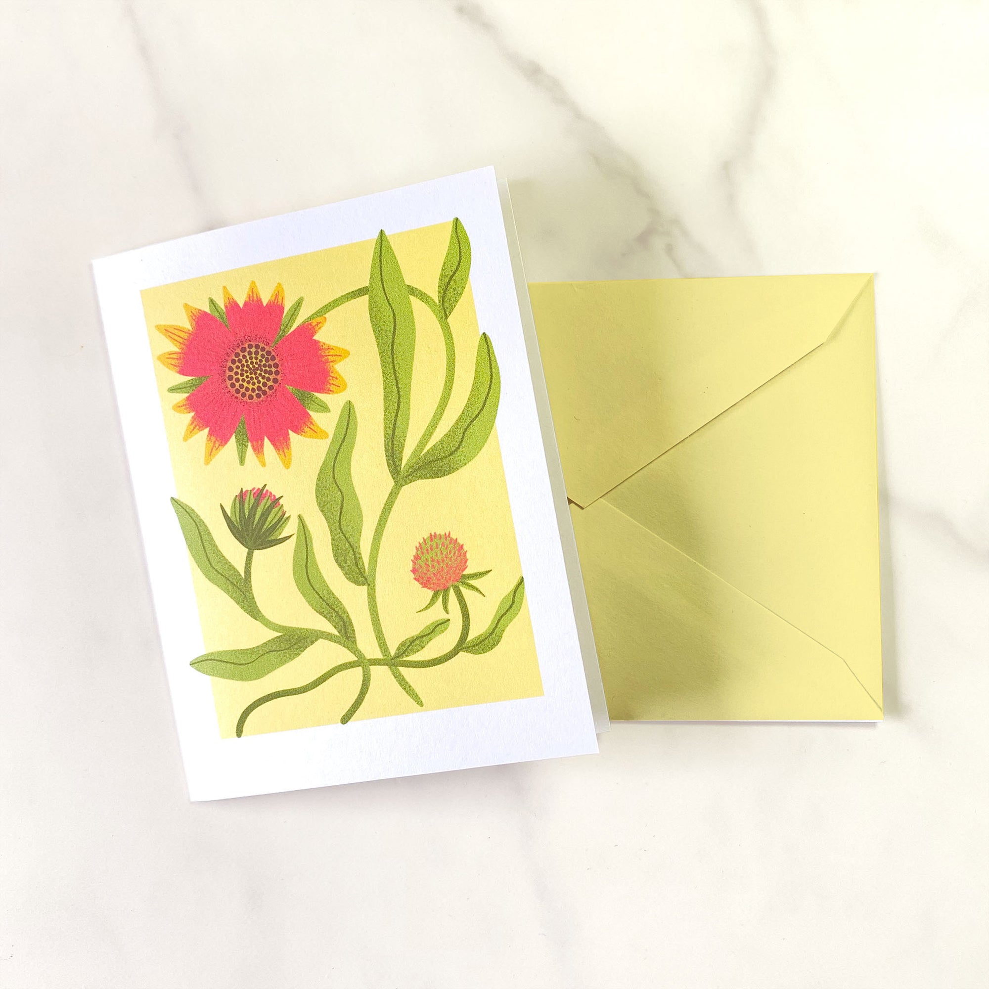 Texas Wildflower illustrated greeting cards. This illustration features Indian Blanket. Set of 10 cards, A2 Size (4.25 x 5.5 inch) with envelopes.