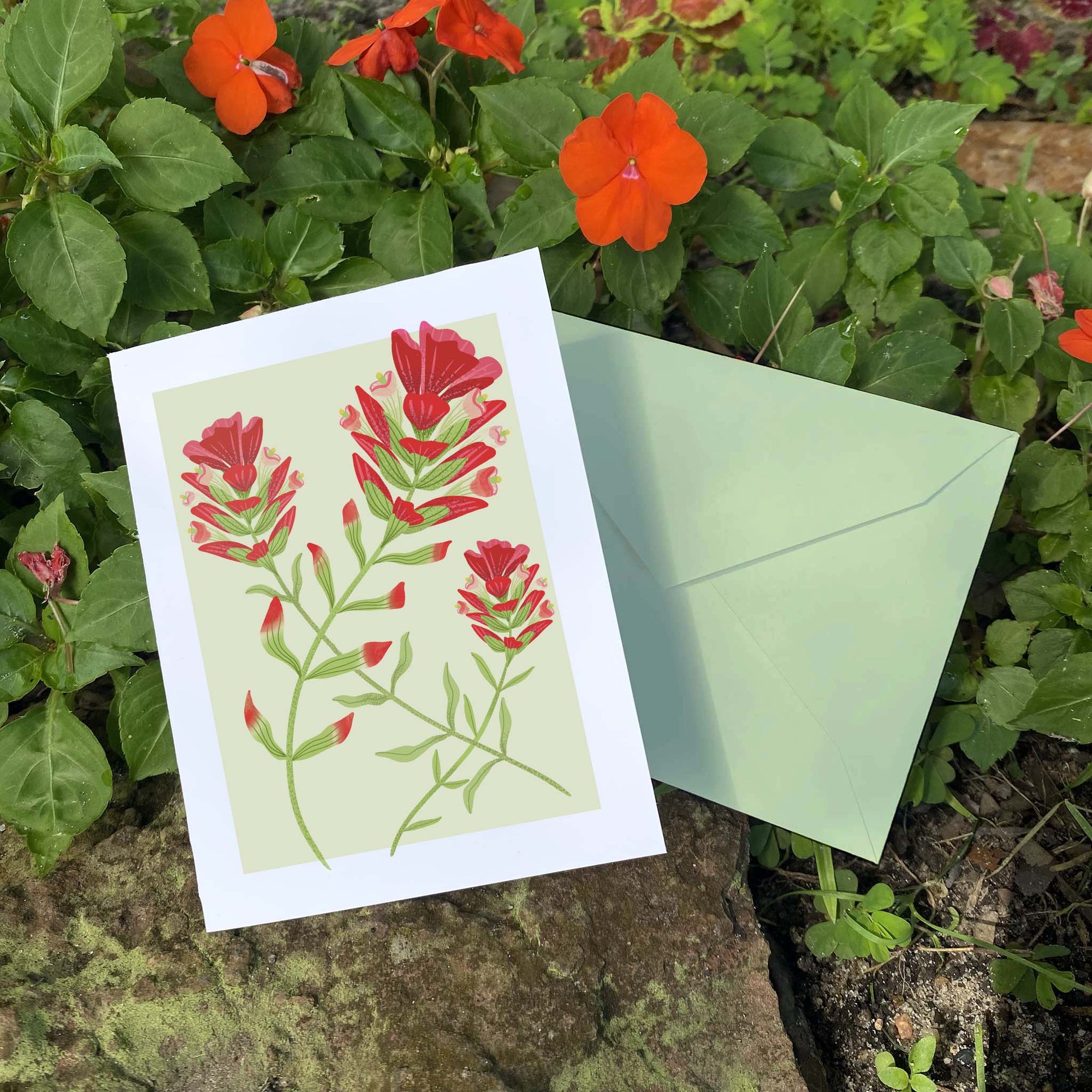 Texas Wildflower illustrated greeting cards. This illustration features Indian Paintbrush. Set of 10 cards, A2 Size (4.25 x 5.5 inch) with envelopes.