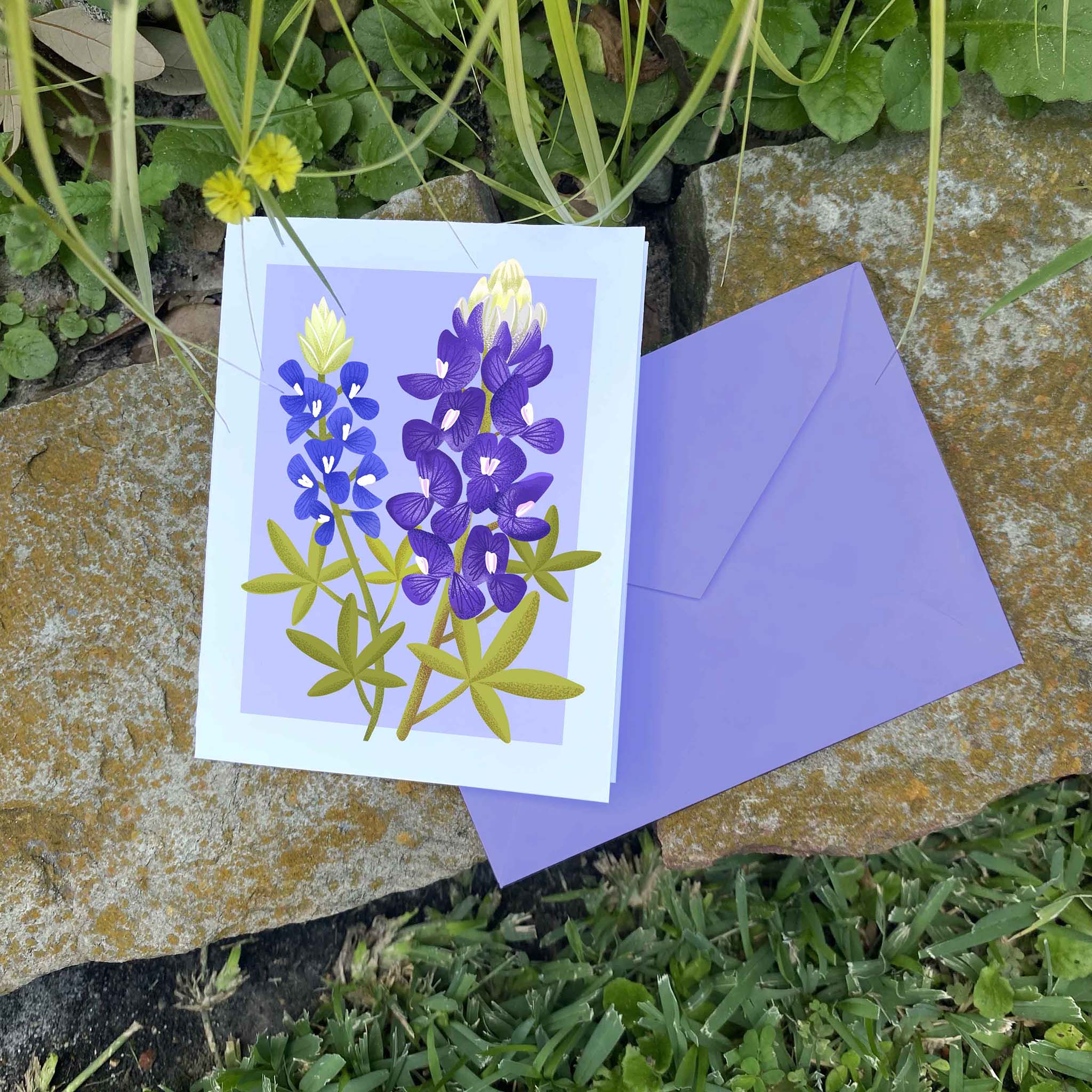 Texas Wildflower illustrated greeting cards. This illustration features Bluebonnets. Set of 10 cards, A2 Size (4.25 x 5.5 inch) with envelopes.