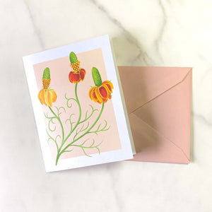 Texas Wildflower illustrated greeting cards. This illustration features Mexican Hat. Set of 10 cards, A2 Size (4.25 x 5.5 inch) with envelopes.