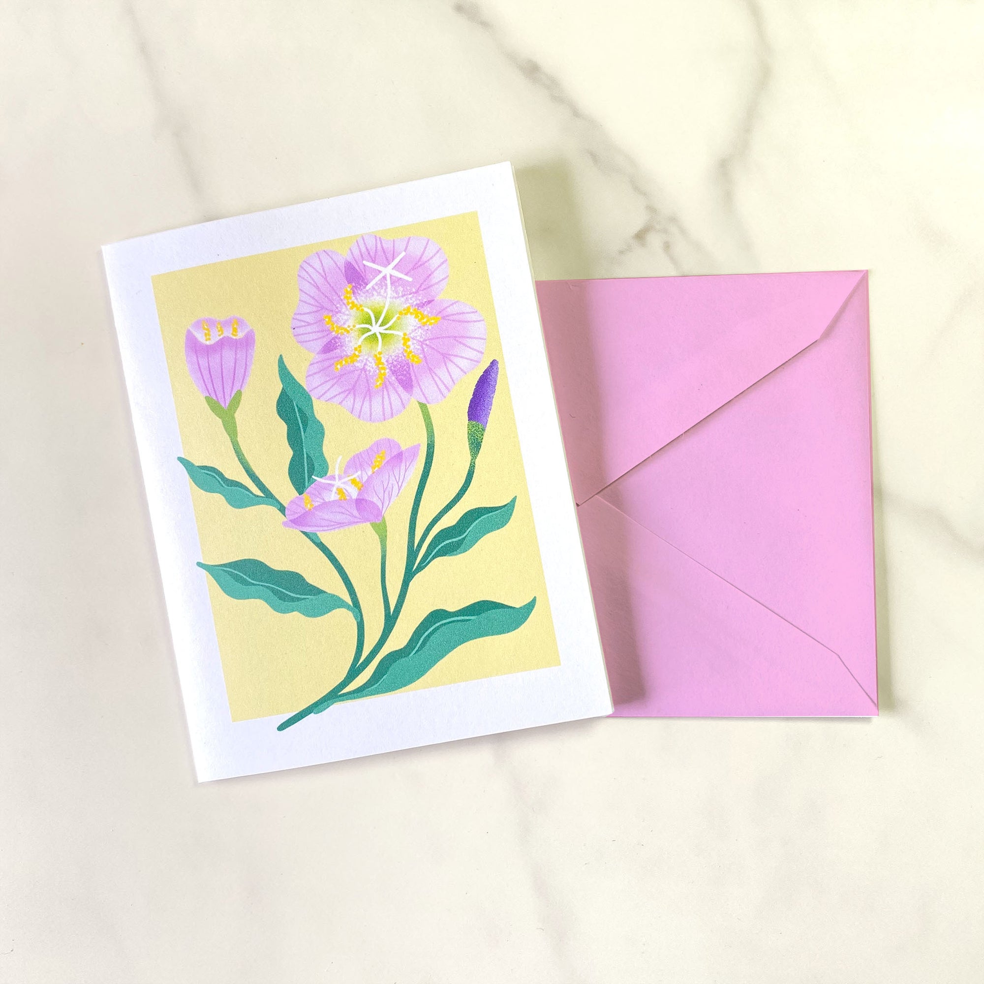 Texas Wildflower illustrated greeting cards. This illustration features Evening Primrose. Set of 10 cards, A2 Size (4.25 x 5.5 inch) with envelopes.