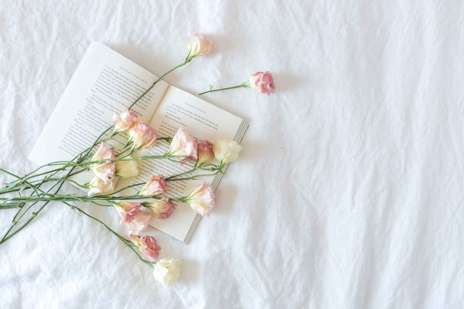 Statement of Practices image - A book with roses laid on it