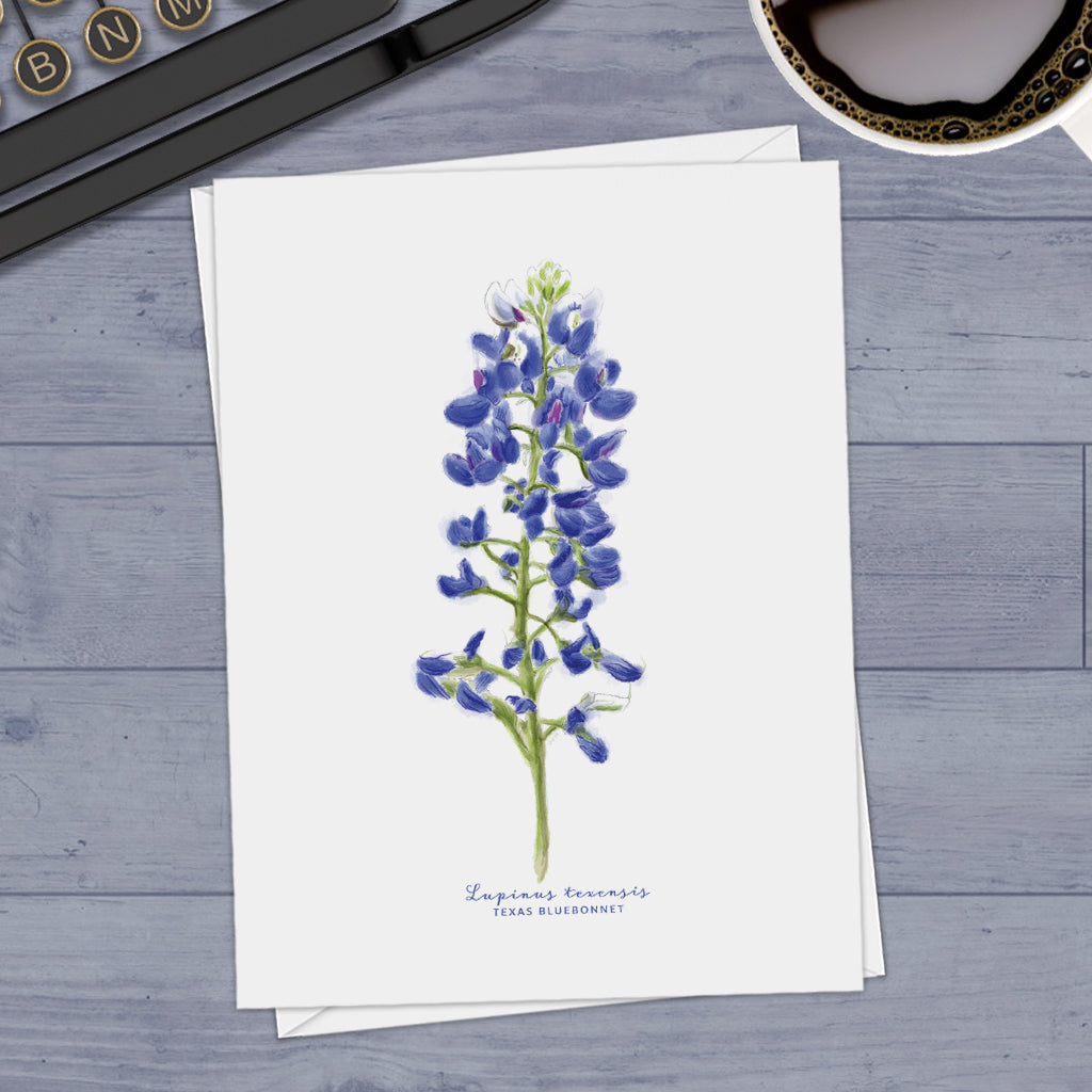 Bluebonnet Watercolor Note Cards Set of 10 with Envelopes Blank Inside  4.25x5.5