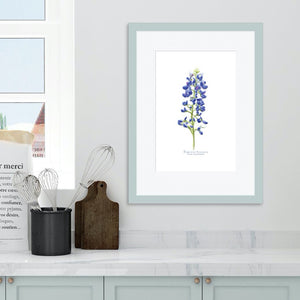 Texas Bluebonnet watercolor framed