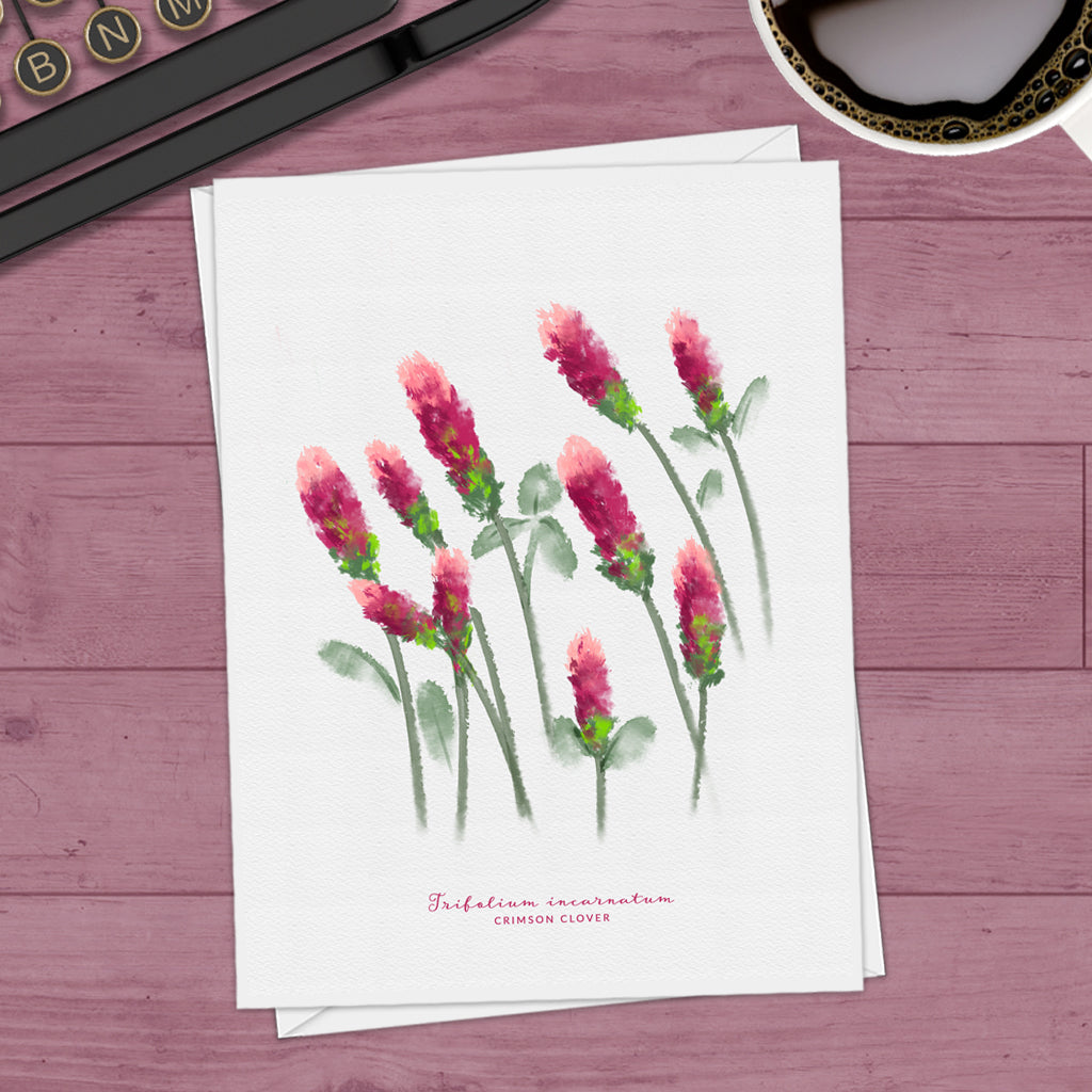 Crimson Clover Texas Wildflower Note Cards