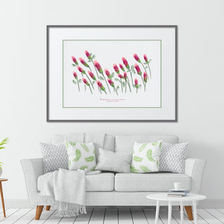 Crimson Clover Texas Wildflower Print