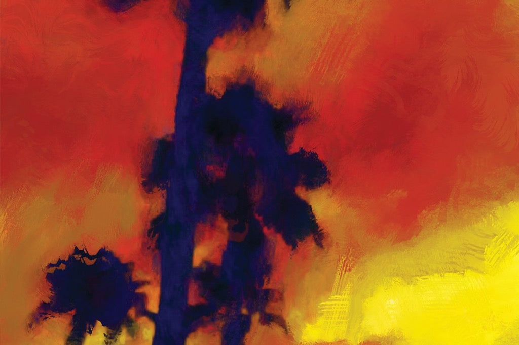 East Texas Palms at Sunset Print Detail