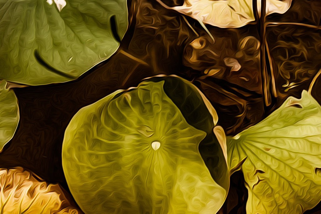 Emerald Lily Pads Print Detail