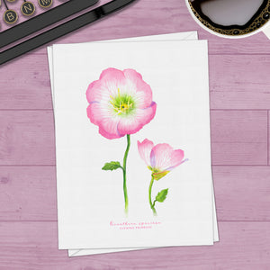 Evening Primrose Watercolor Note Cards