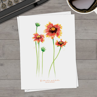 Indian Blanket Watercolor Note Cards
