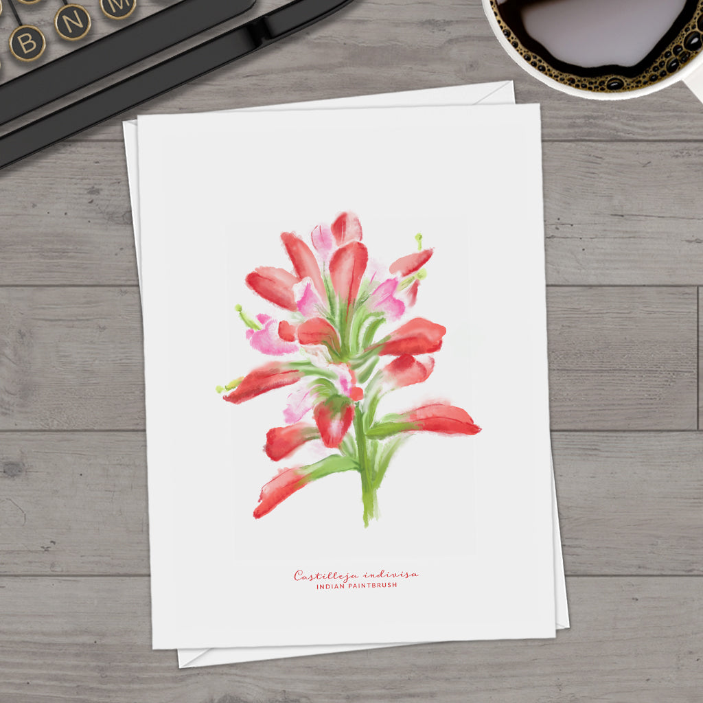 Indian Paintbrush Watercolor Note Cards