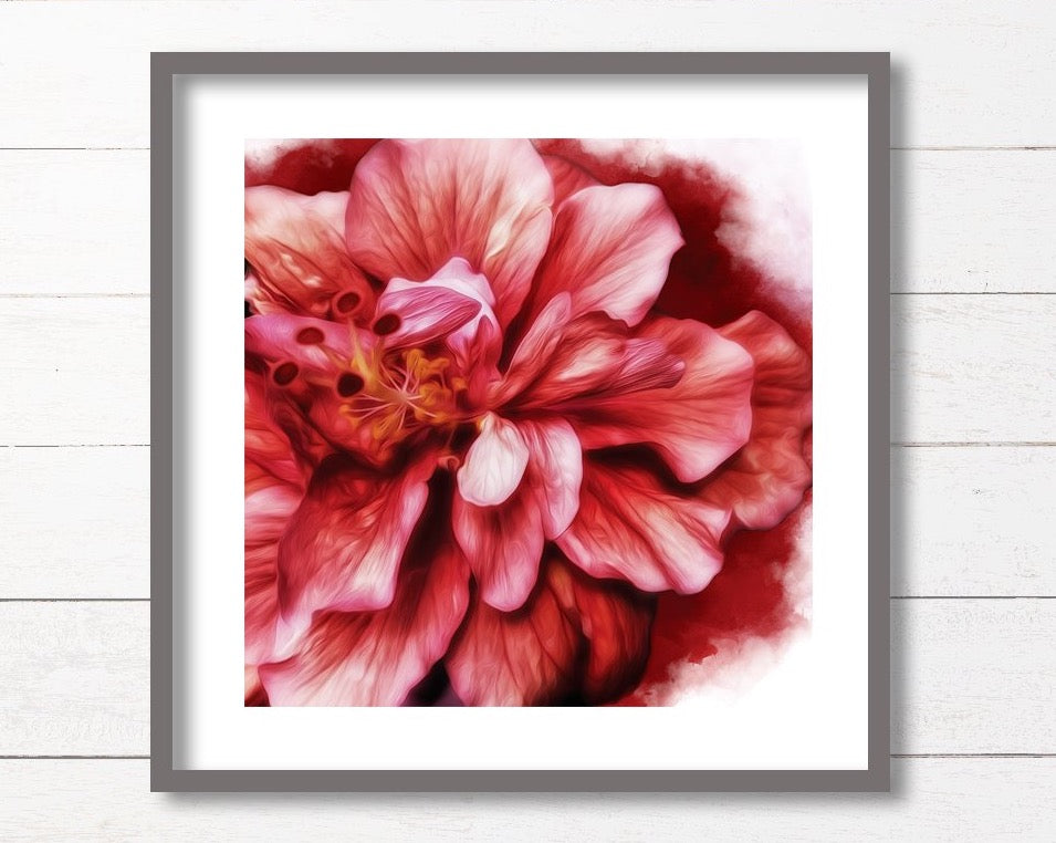 Pink Hibiscus Print