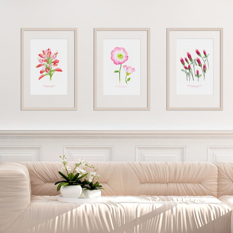 Texas Wildflowers Watercolor Print Collection
